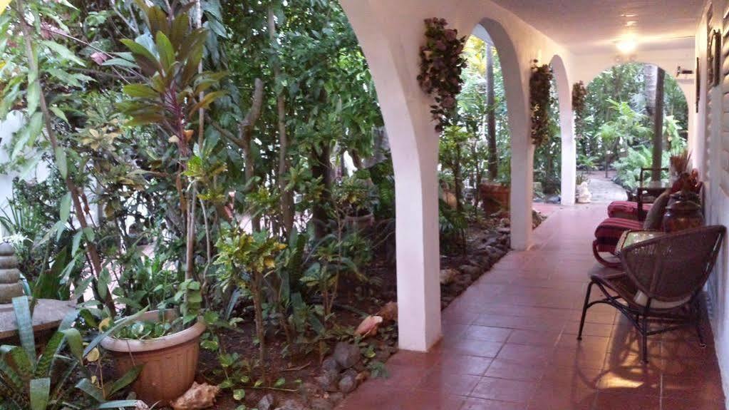 Coconut Palms Inn 린콘 외부 사진